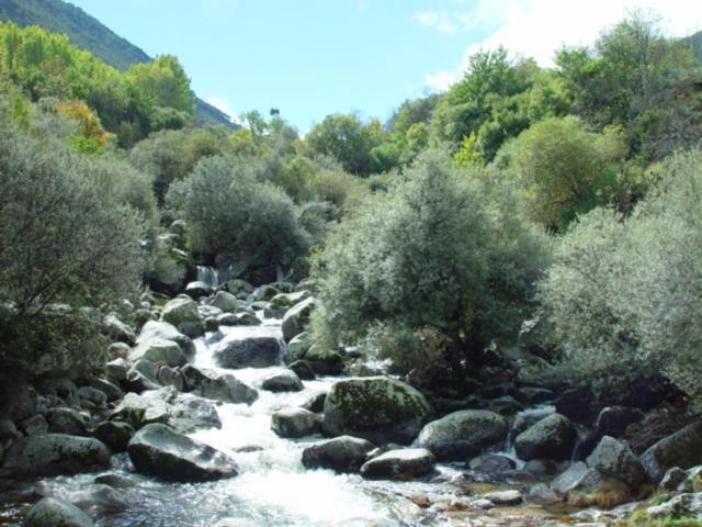 Descanso Serrano Manteigas